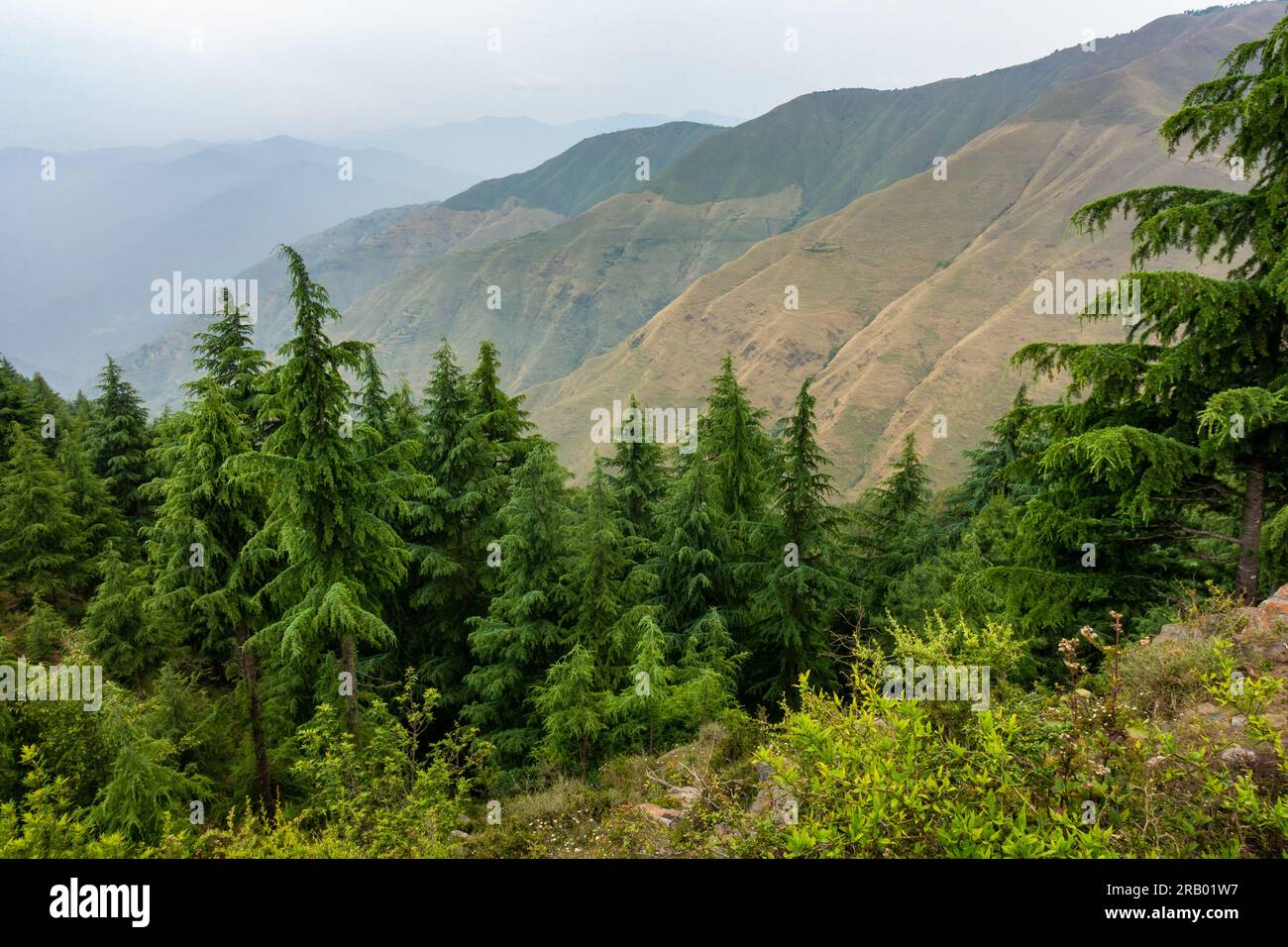 Valleys and mountain ridges of the Shivalik mountain range in the lower