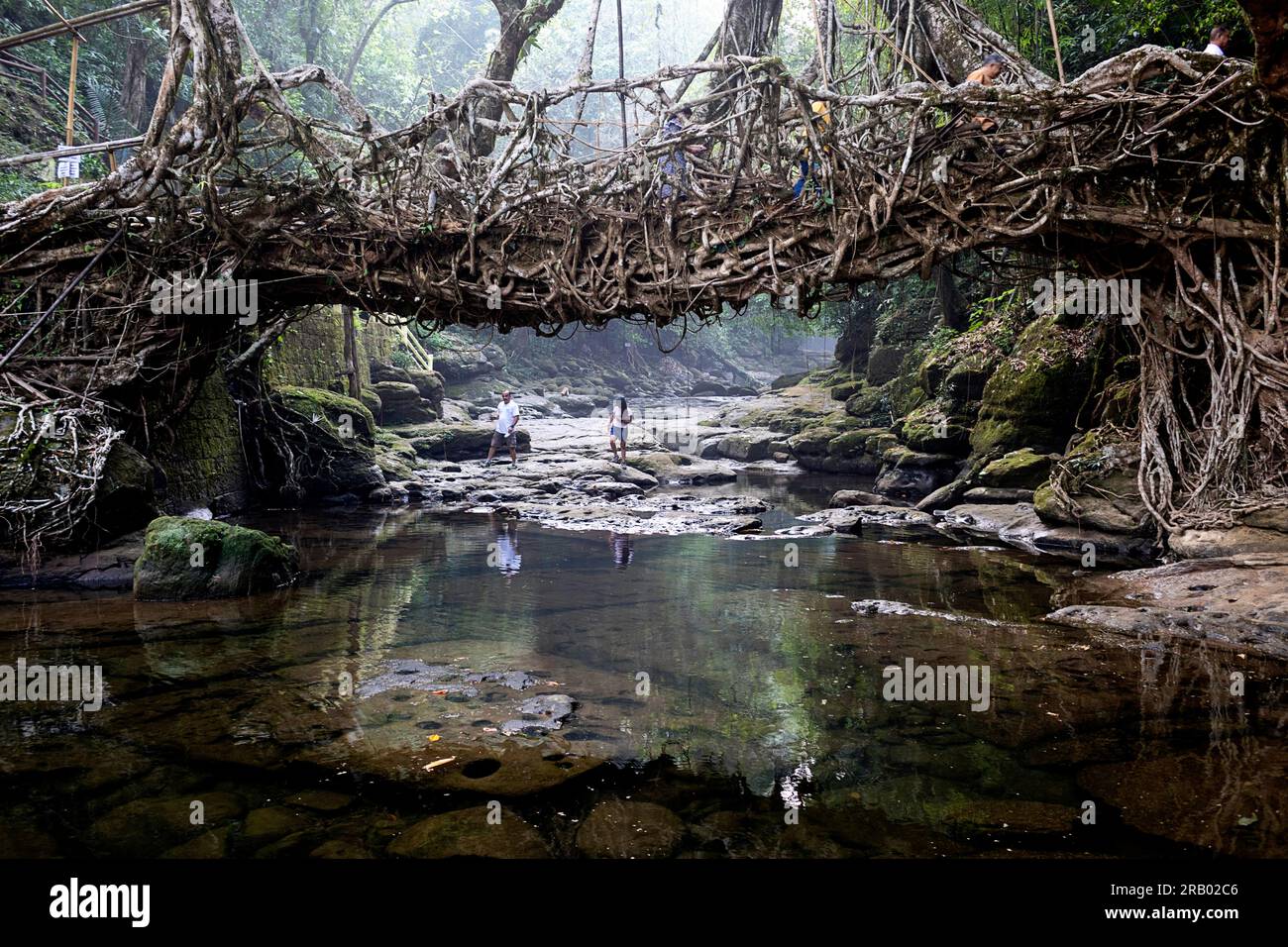 Local tourists exploring Spectacular living root bridge near Riwai ...