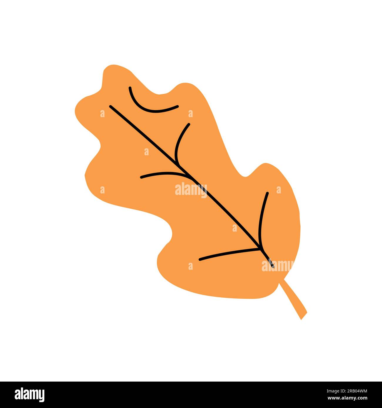 Flat Vector illustration autumn orange leaf on white background Stock ...