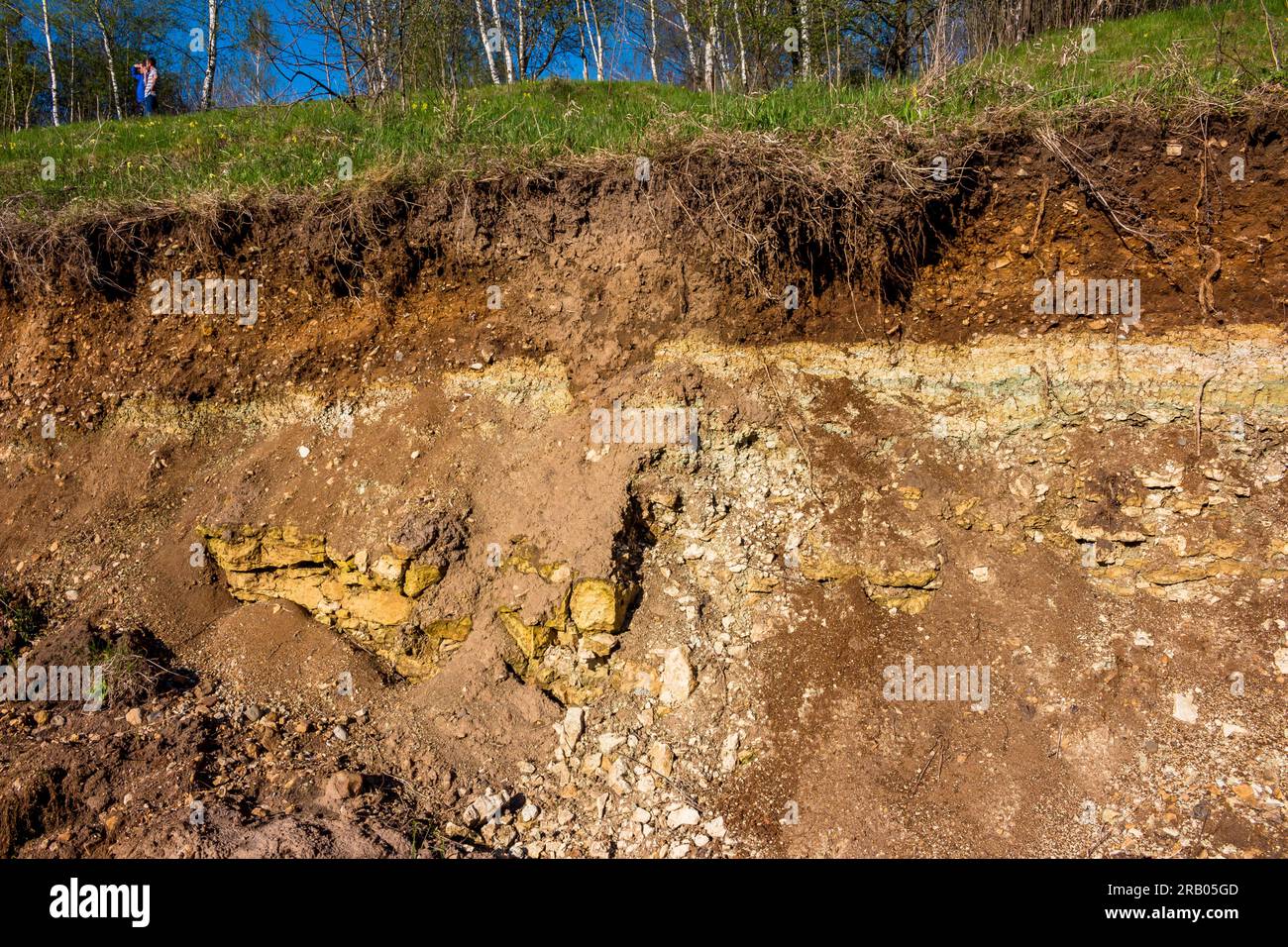 Outcrop of geological rocks. The bedrock is clay and limestone topped with Quaternary deposits. Kaluzhskiy region, Russia Stock Photo