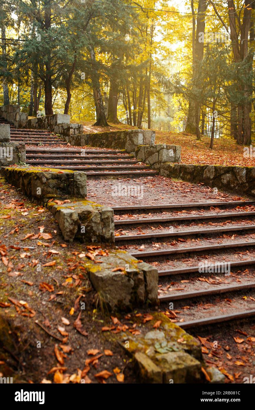 steps in the autumn park covered with leaves Stock Photo - Alamy