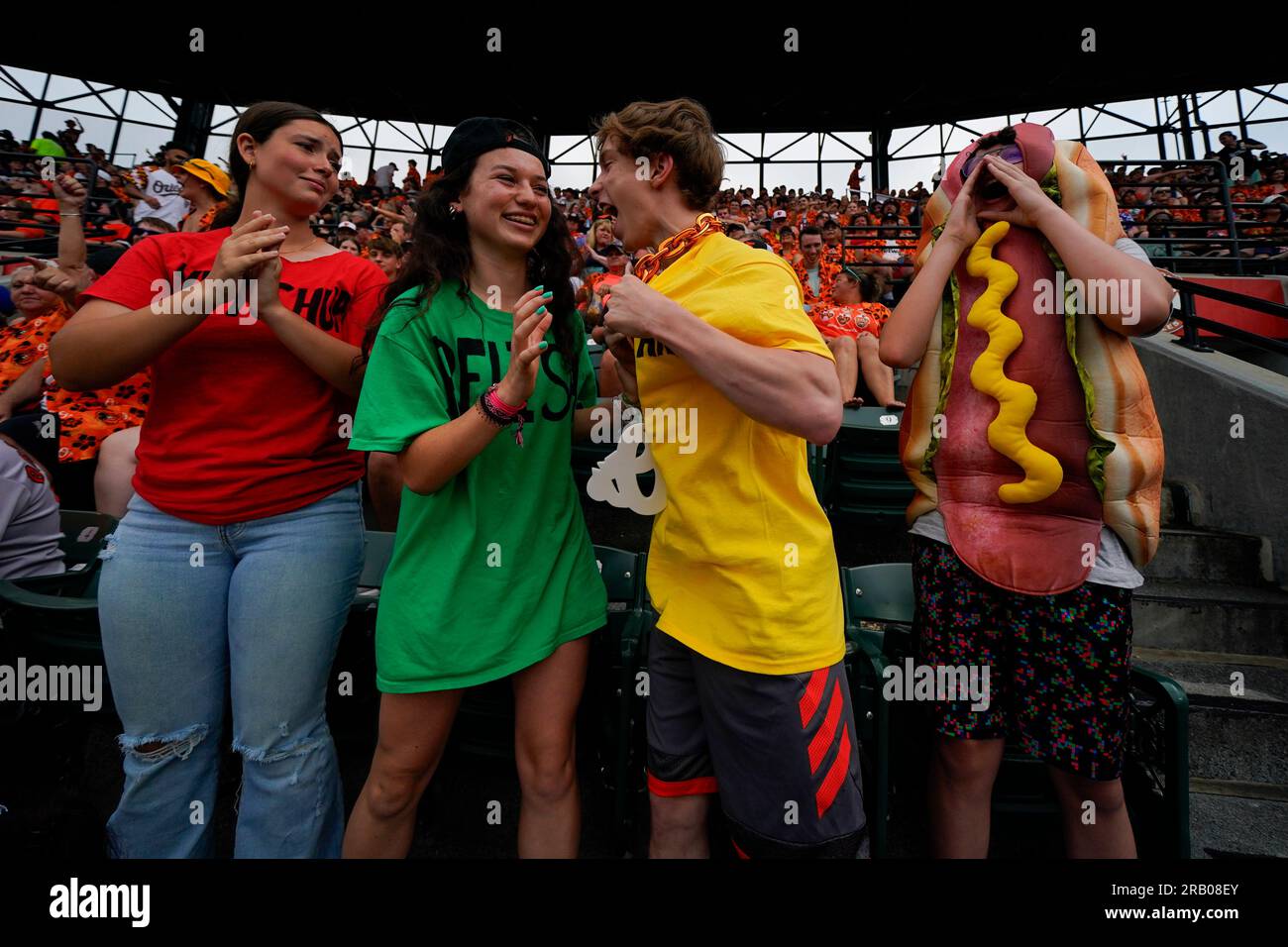 Siblings, from left, Olivia Nerad, Brooke Conger, Charles Nerad, John  Conger react after watching the Hot Dog Race on the big screen at Oriole  Park at Camden Yards during the fifth inning