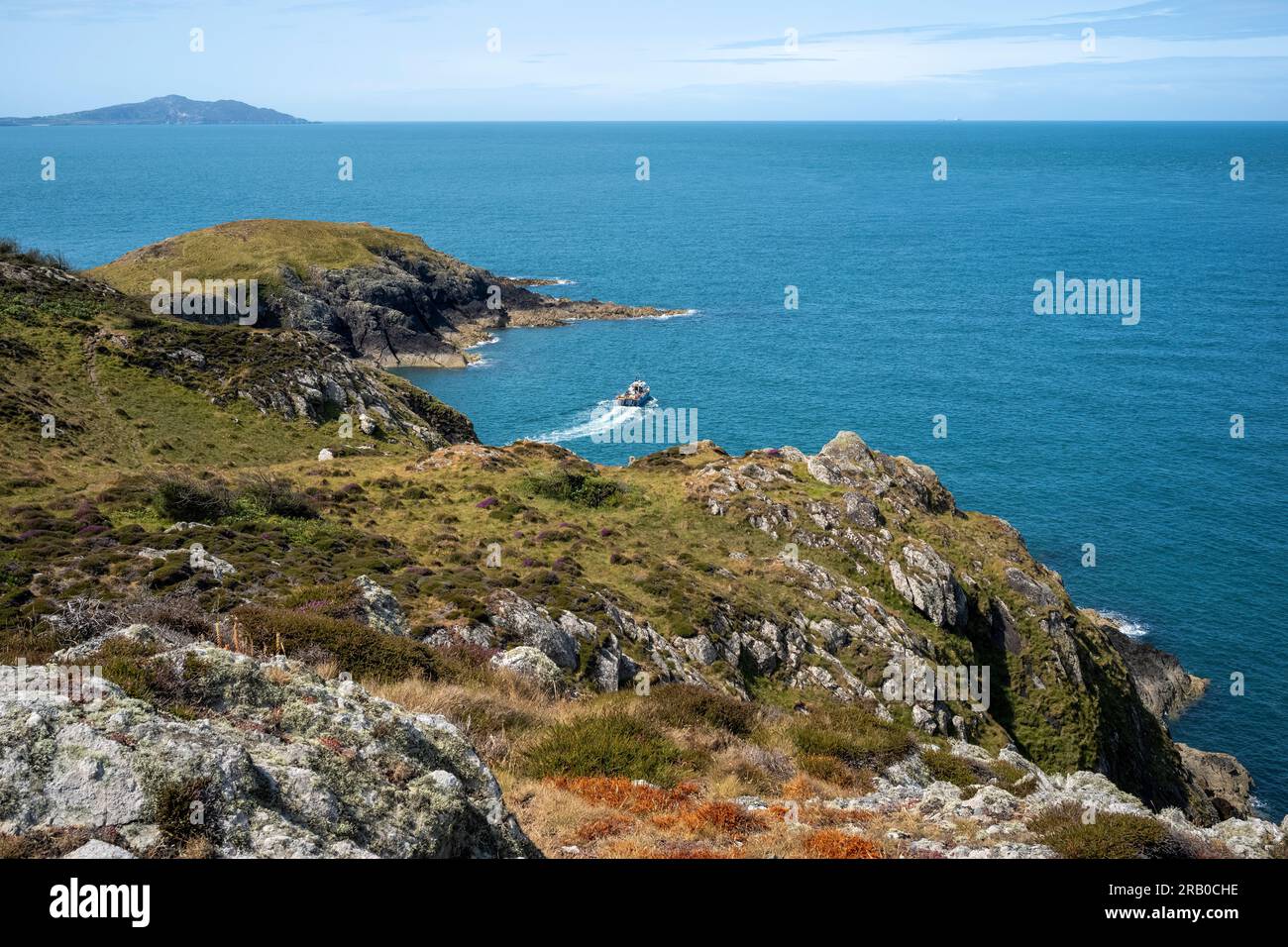 Fishing boat leaving the coast near Ynys y Fydlyn, NW Anglesey, Wales, UK Stock Photo