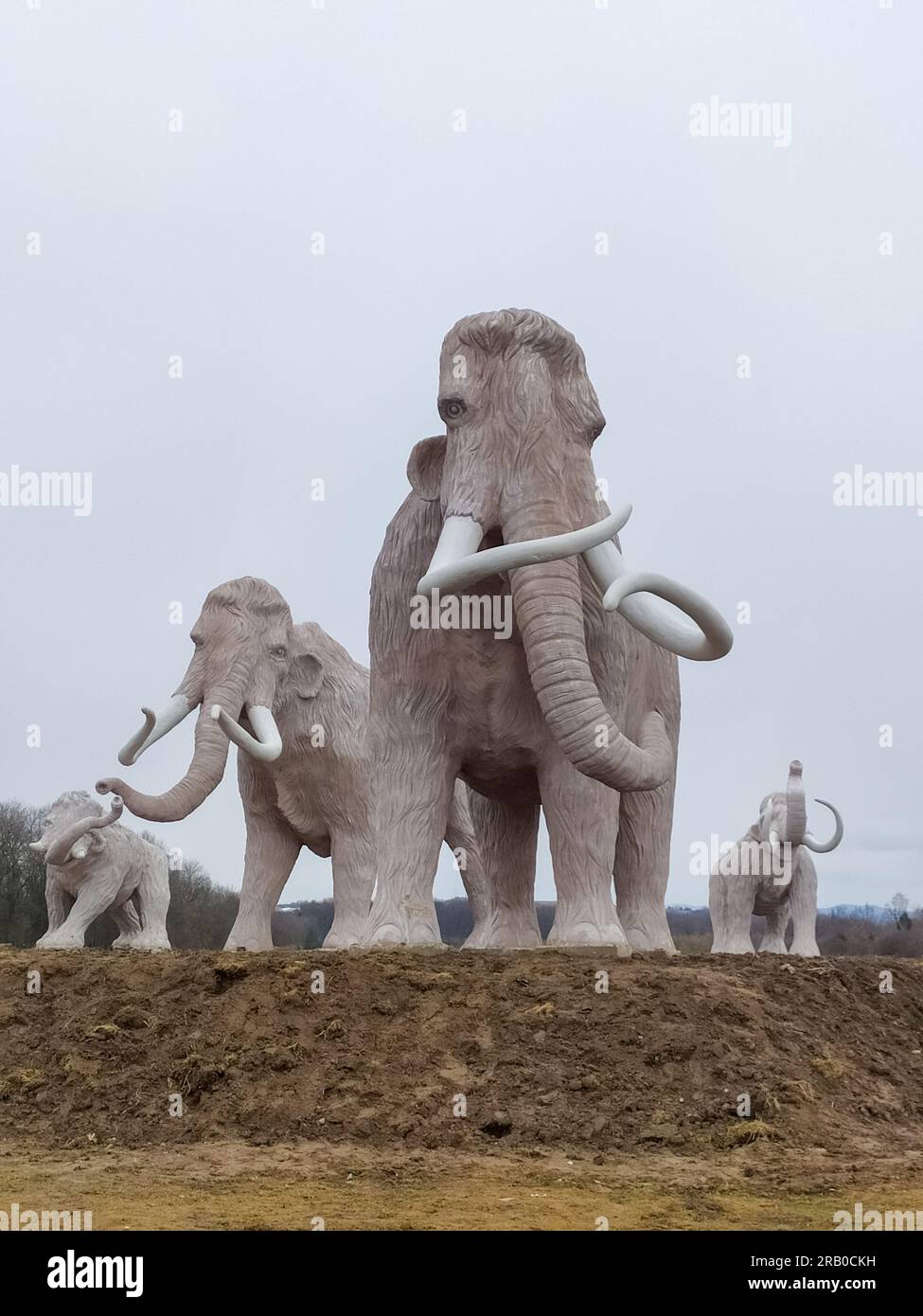 Mammoth family statues. Sculptural composition of a mammoths and a their babies standing in a clearing. Large gray statues of mammoths with tusks in a Stock Photo