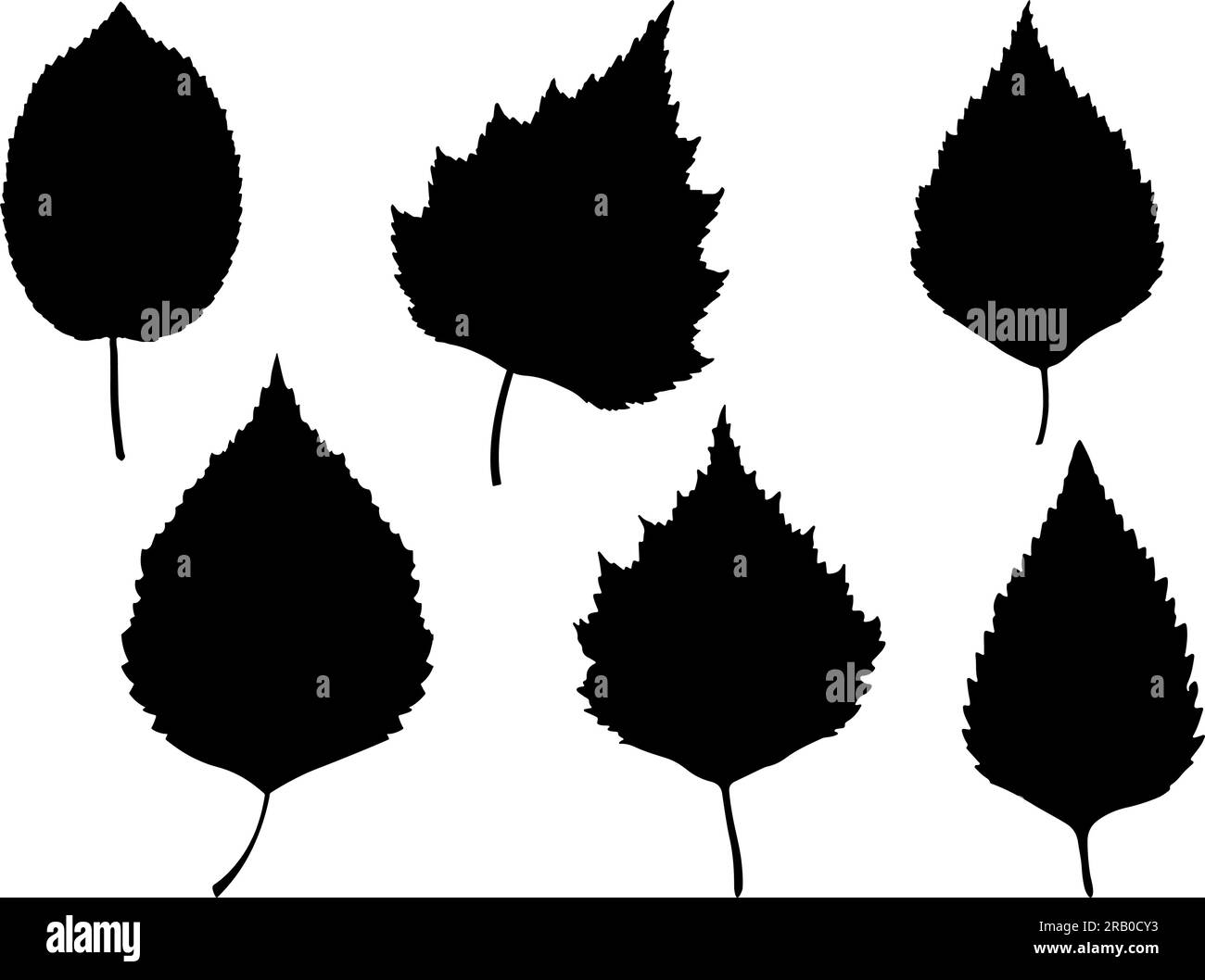 Set of Birch Leaf Silhouette Stock Vector Image & Art - Alamy