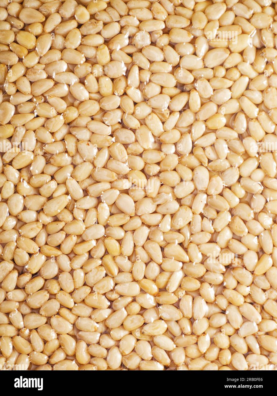 Pine nuts close-up in full screen. Surface made of peeled pine nut ...