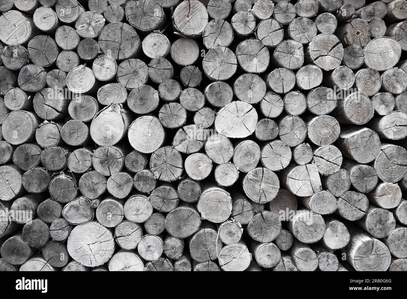 Stacked firewood as round wood monochrome Stock Photo