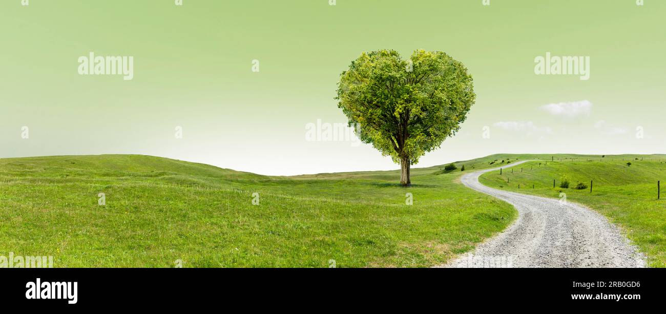 The way Forward through a hilly landscape with a tree Stock Photo