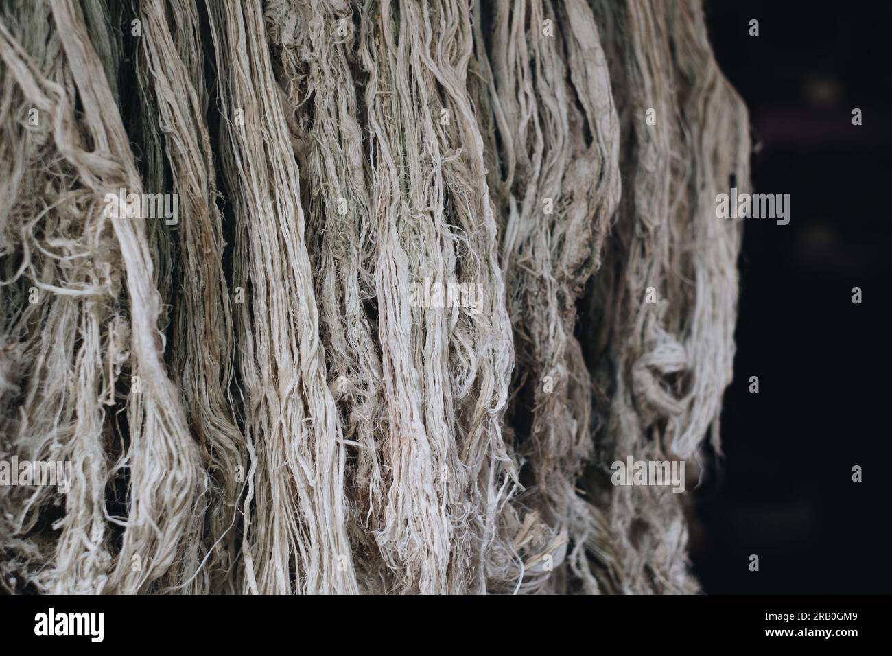 Pineapple fibers made from leaves of pineapple plant from Southern