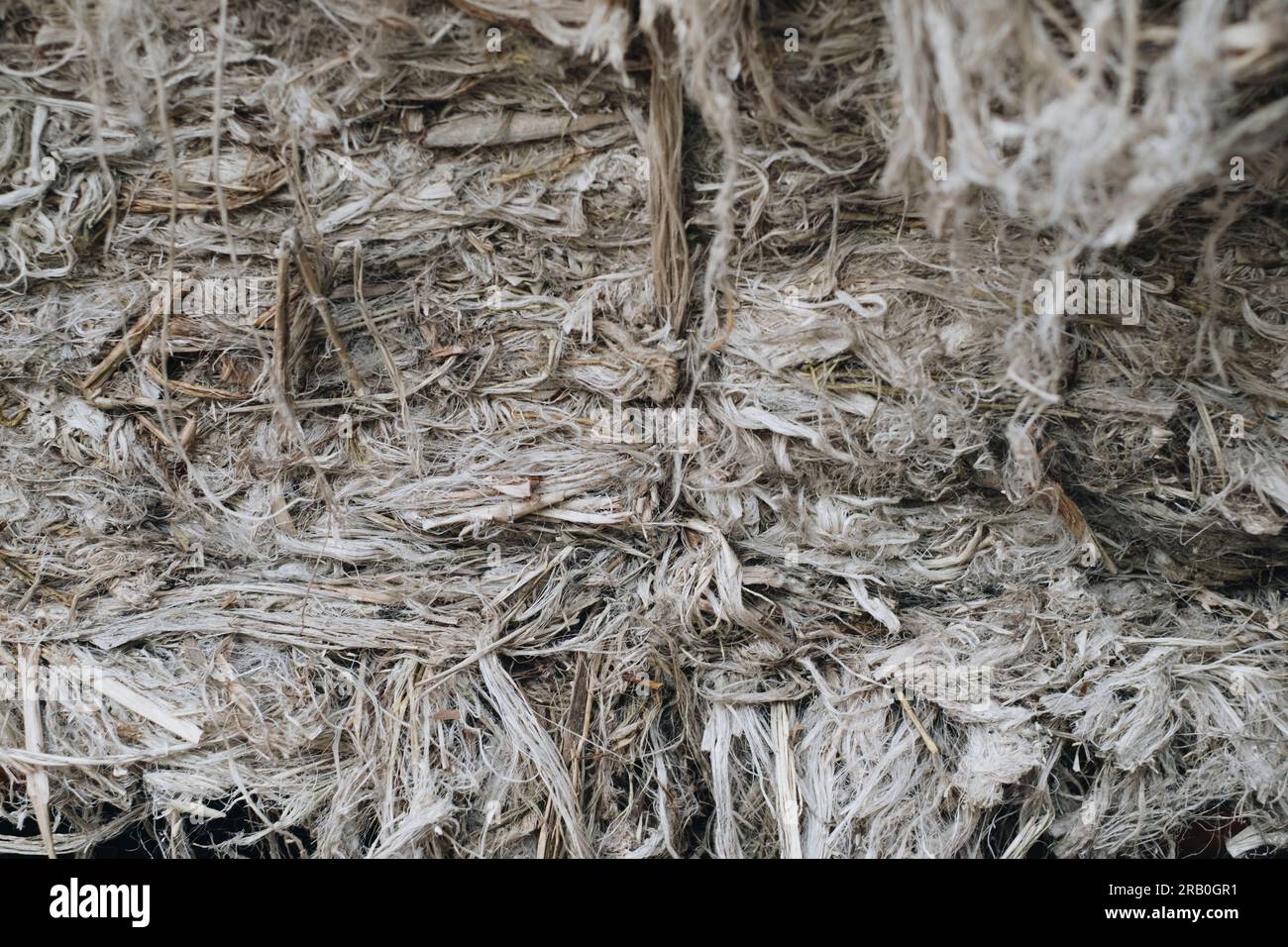 Pineapple fibers made from leaves of pineapple plant from Southern
