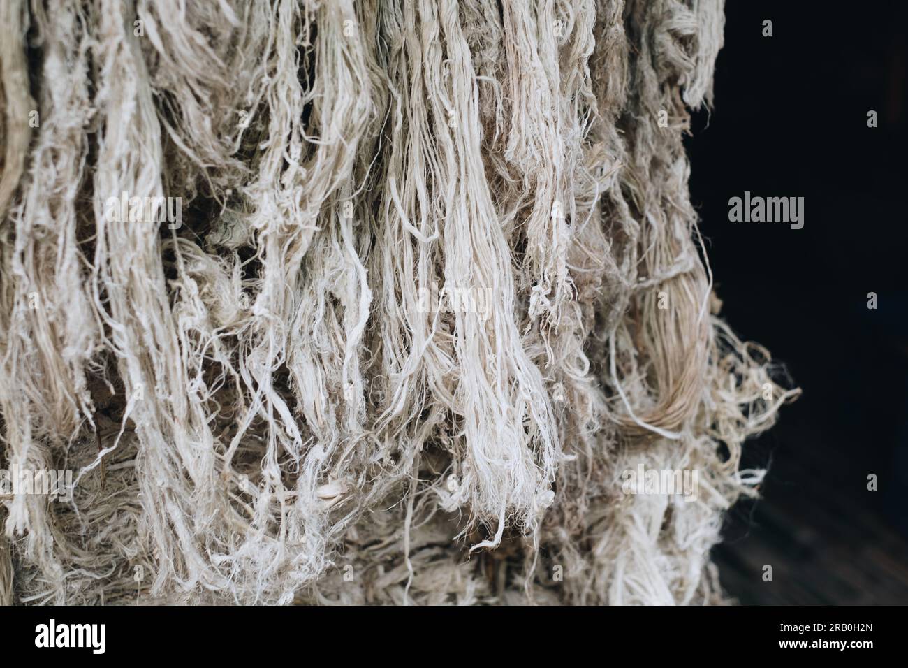 Pineapple fibers made from leaves of pineapple plant from Southern