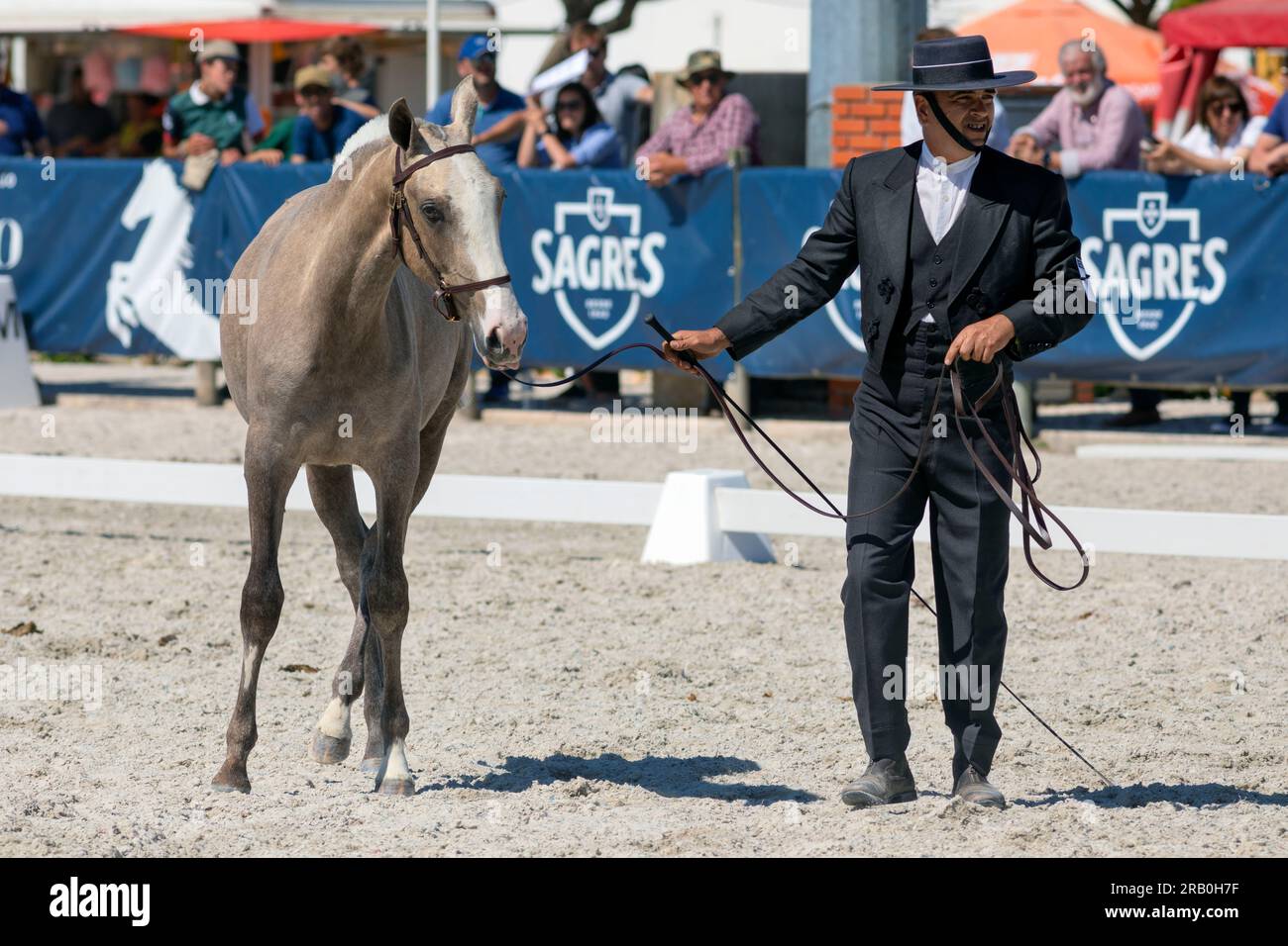 Europe, Portugal, Alentejo Region, Golega, Man in traditional costume presenting a Young Lusitano Horse at the 'Mares and Foals' Horse Fair Stock Photo