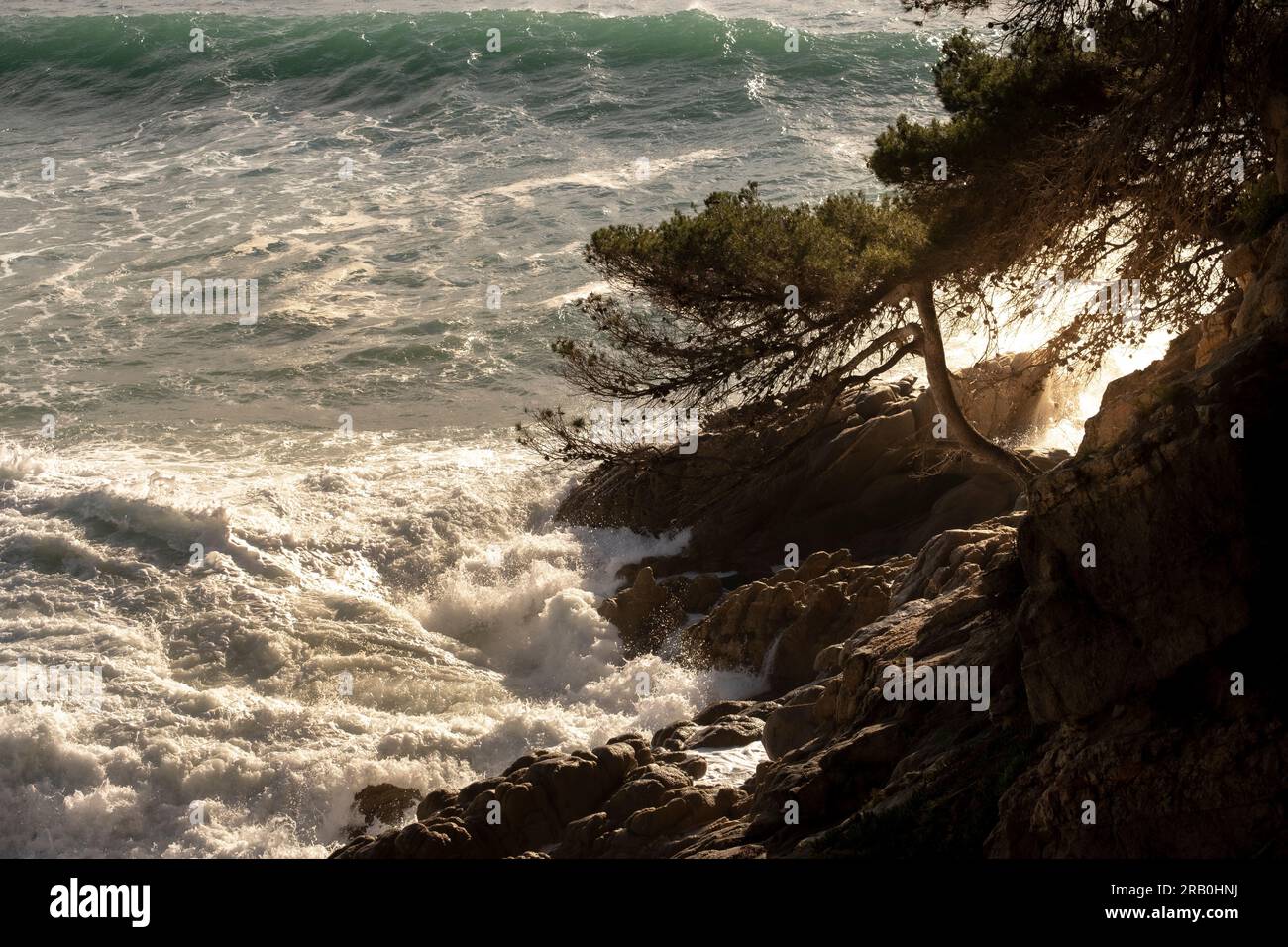 Landscape on the coast of the Costa Brava Stock Photo