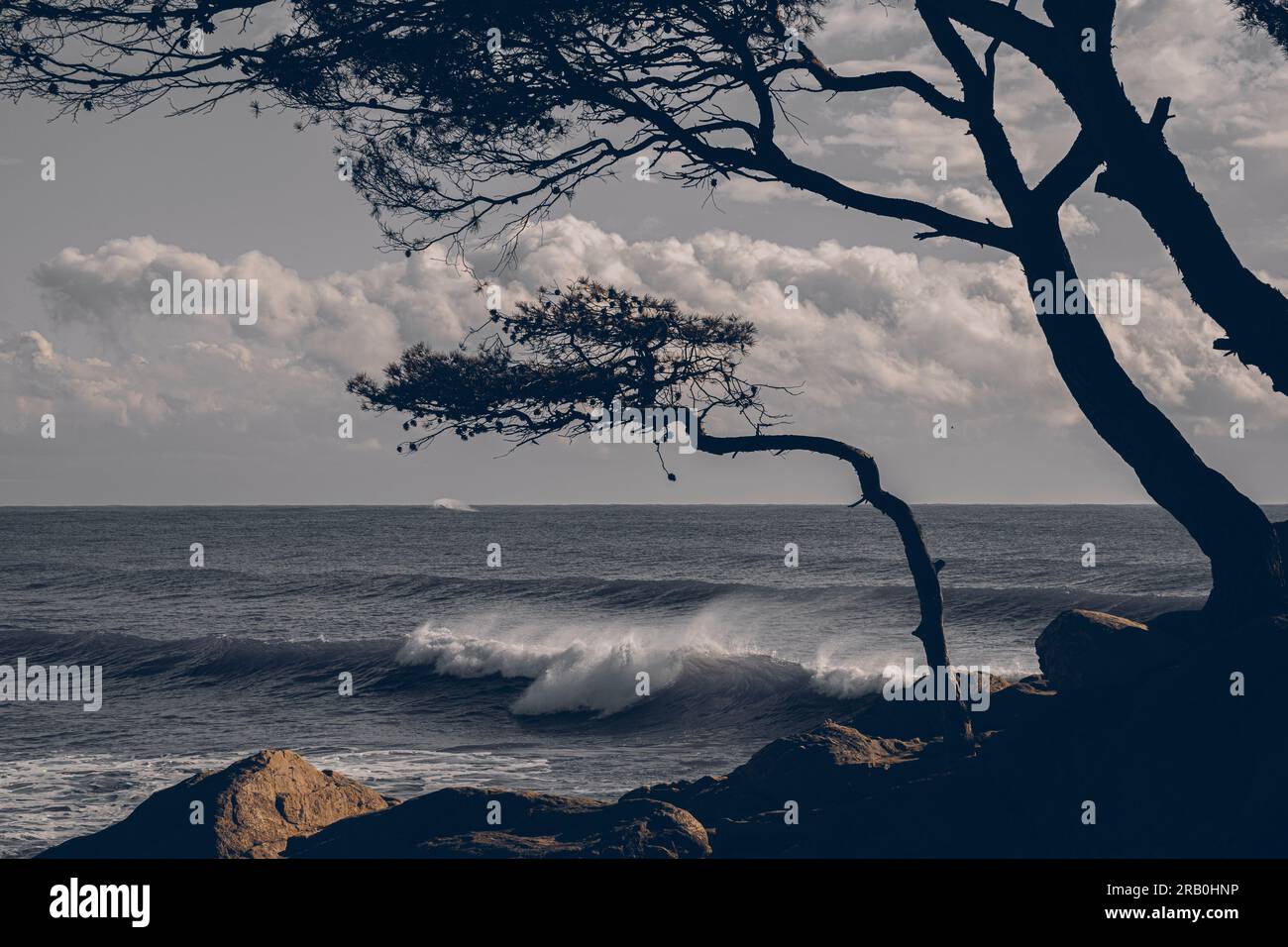 Landscape on the coast of the Costa Brava Stock Photo