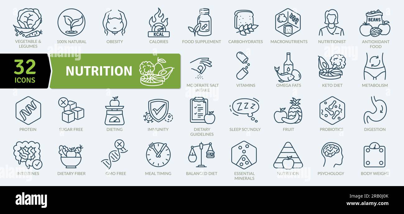 Nutrition and healthy eating icon pack. Collection of thin line icons that support digital navigation Stock Vector
