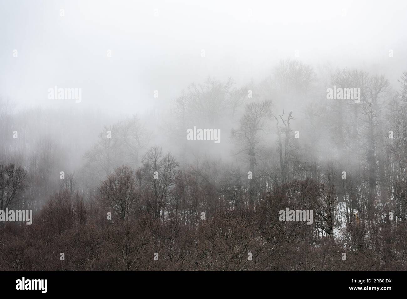 Stunning mountain landscape during a foggy day. Monte Cotento, Campo Staffi, Frosinone, Italy. Stock Photo