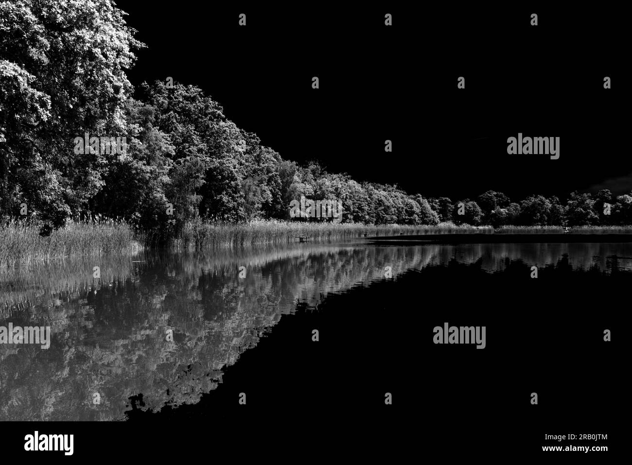 Beautiful water reflections at a small lake, black and white Stock Photo