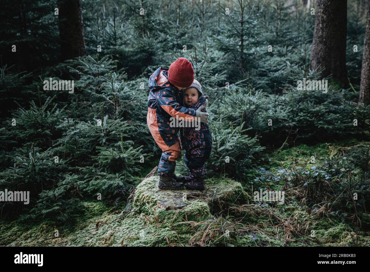 Brother and sister in the forest Stock Photo - Alamy
