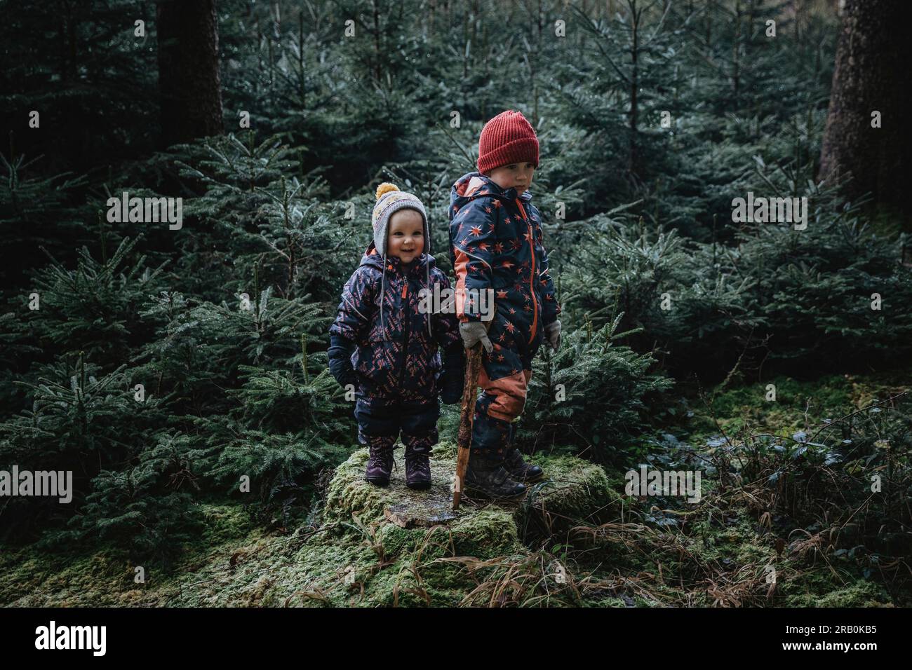 Brother and sister in the forest Stock Photo - Alamy