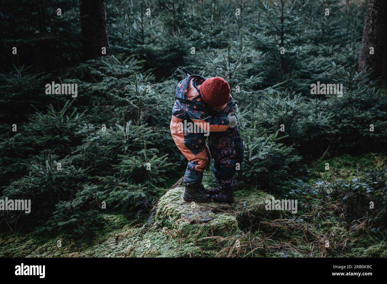 Brother and sister in the forest Stock Photo - Alamy