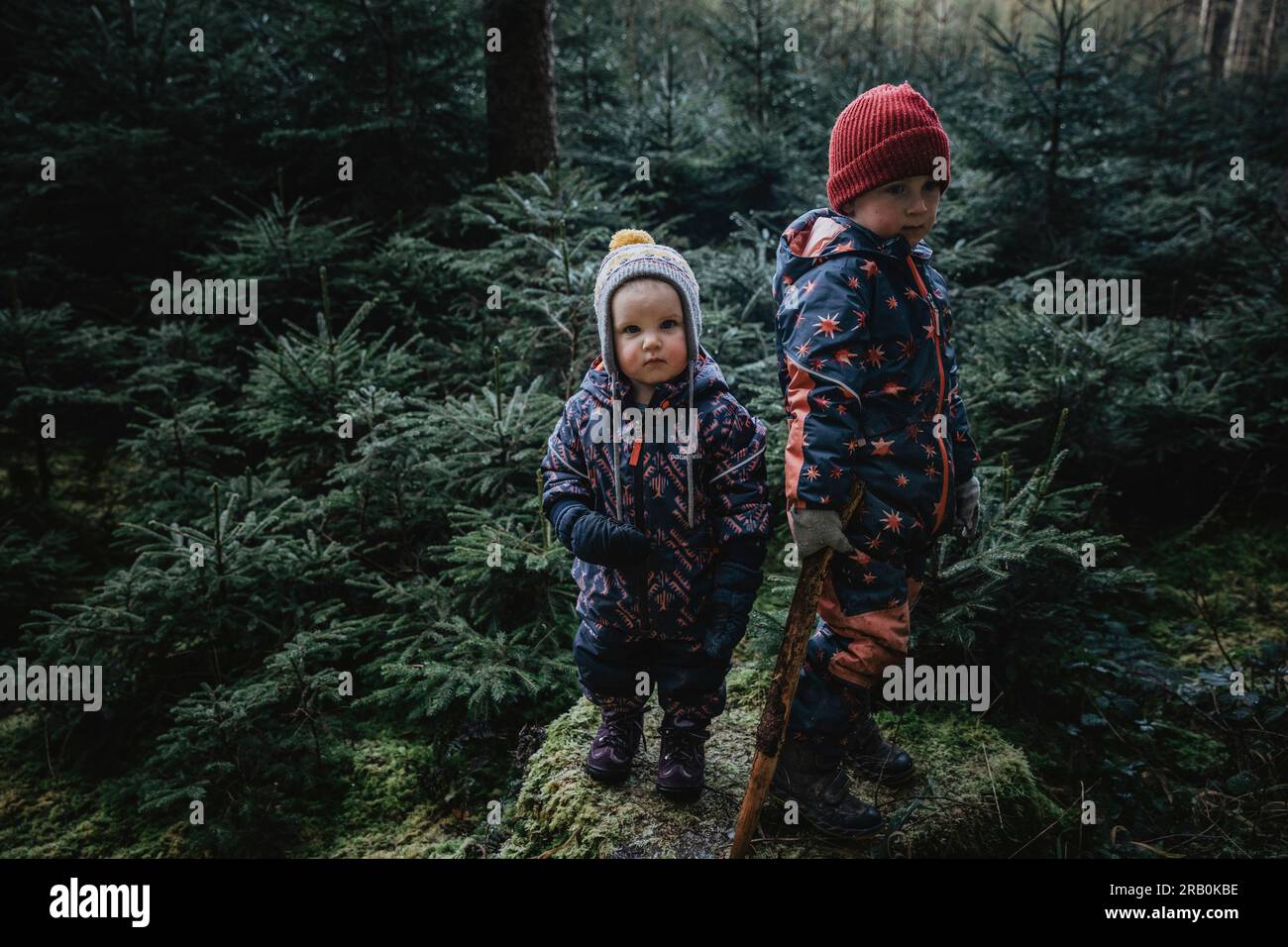 Brother and sister in the forest Stock Photo - Alamy