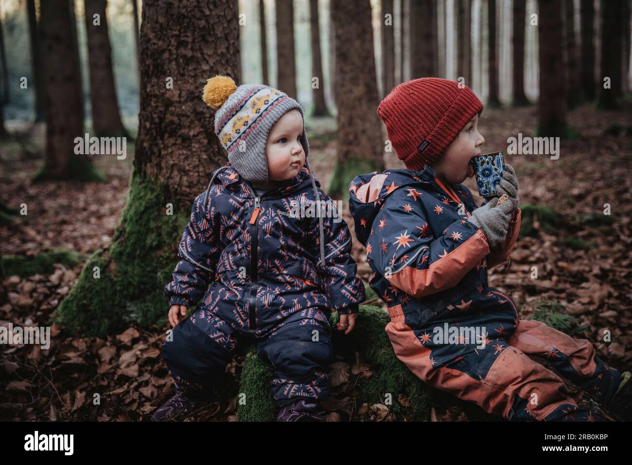 Brother and sister in the forest Stock Photo - Alamy