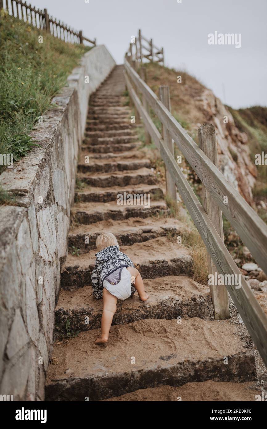 Baby crawls up stairs Stock Photo