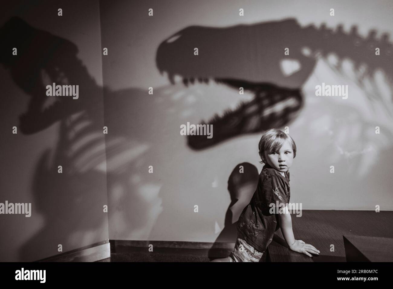 Boy in front of shadow of dinosaur skeleton Stock Photo