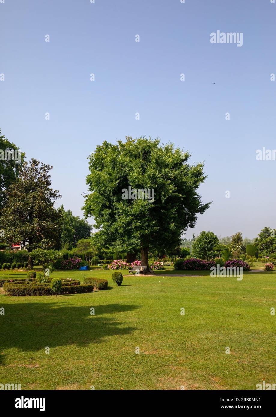 ￼Shalimar Bagh Mughal garden, Jammu and Kashmir, Srinagar, India Stock Photo