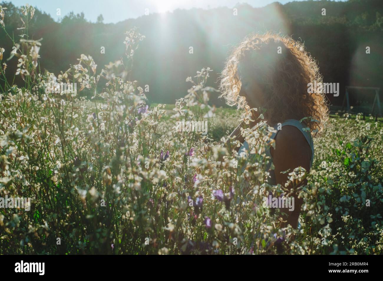 Life balance and nature environment feeling with one lonely woman standing in the flowers blossom field. Inside emotion and healthy natural lifestyle. Outdoors leisure activity. Travel people sunset Stock Photo