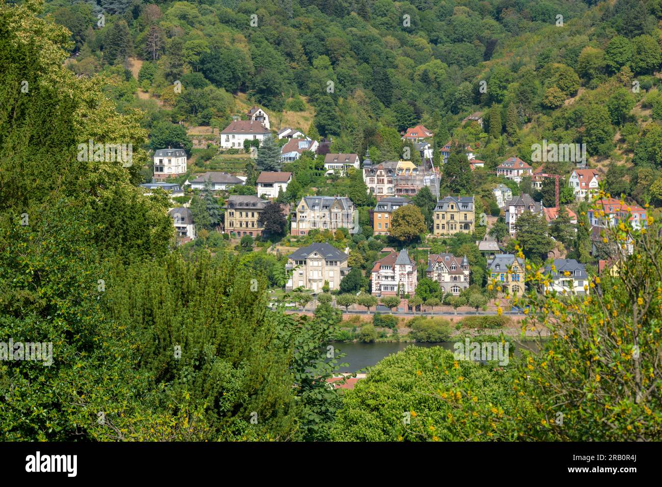 Germany, Baden-Wuerttemberg, Heidelberg, villas on the north bank of the Neckar. Stock Photo