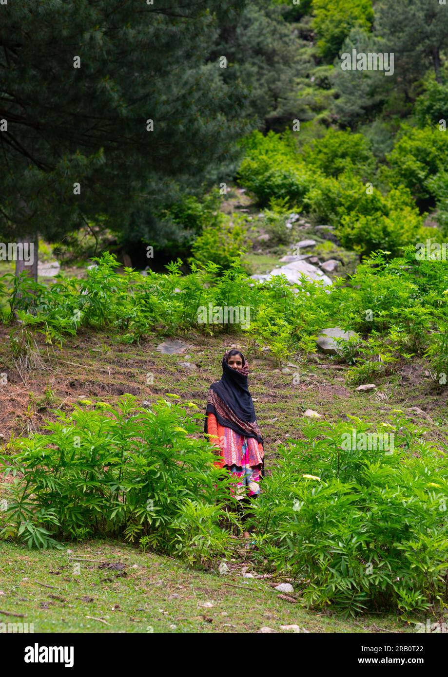 Kashmiri girls hi-res stock photography and images