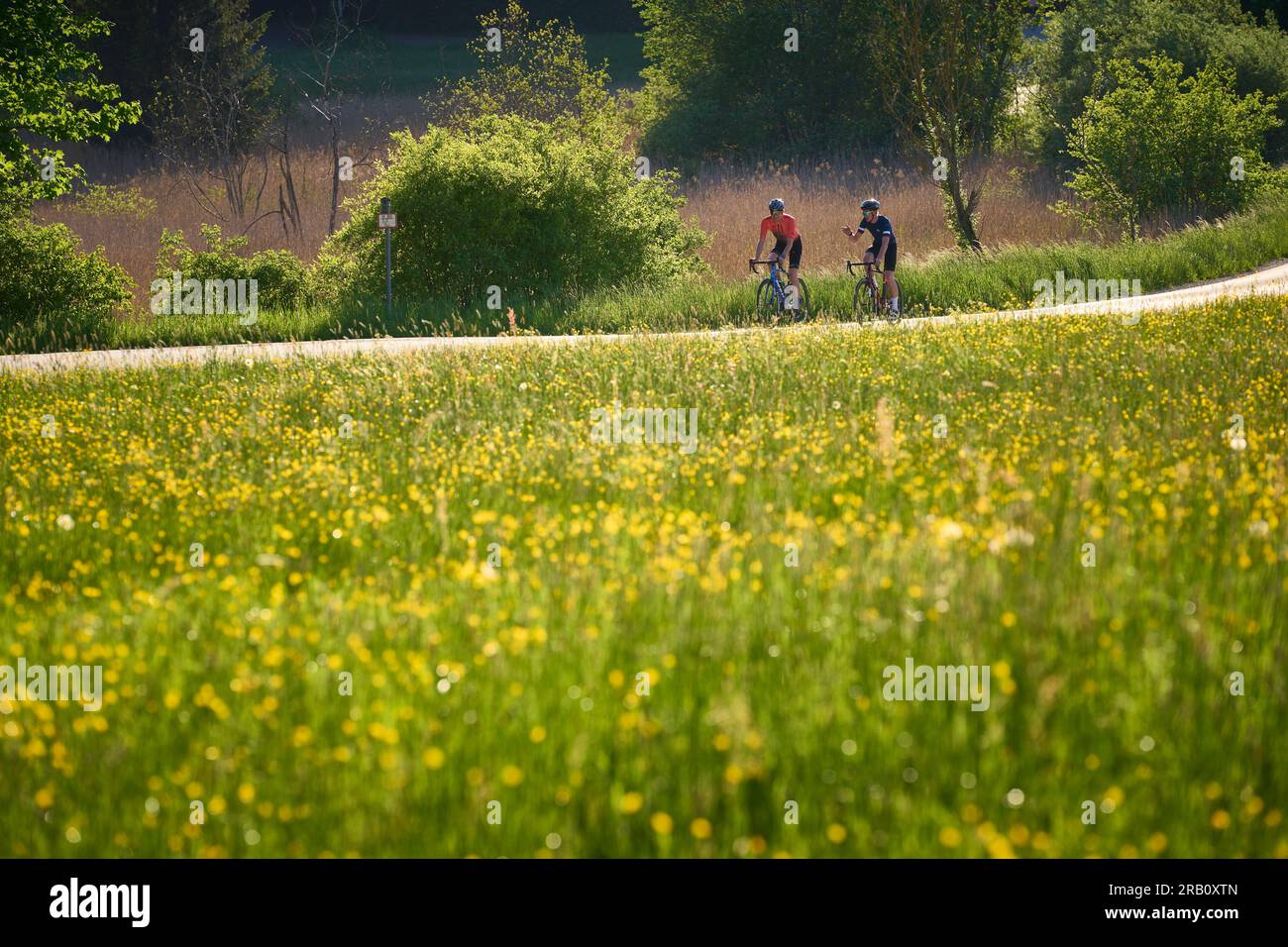 Two young men on racing bikes hi-res stock photography and images - Alamy