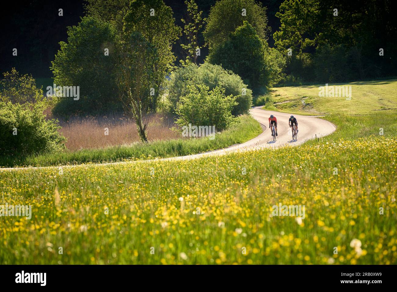 Two young men on racing bikes, foothills of the Alps, Bavaria Stock ...