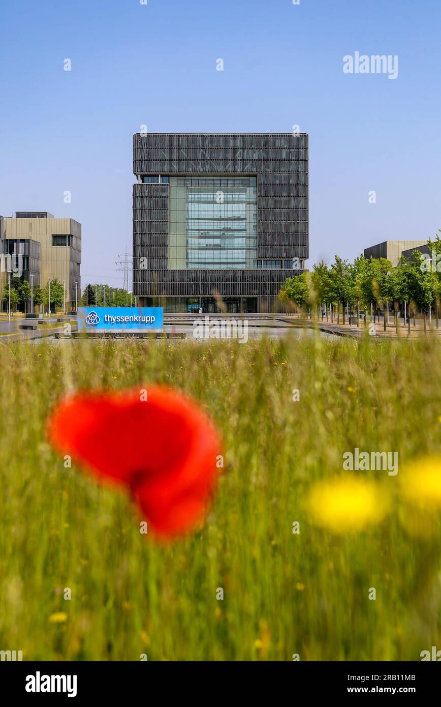 Essen, North Rhine-Westphalia, Germany - ThyssenKrupp, company logo in front of the headquarters. thyssenkrupp AG is an industrial group with a focus on steel processing and Germany's largest steel producer Stock Photo
