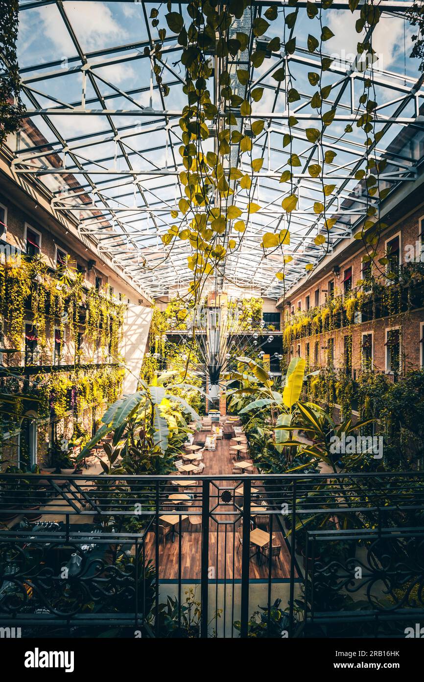 A cafe in a greenhouse, the famous courtyards of Budapest, beautifully renovated and planted with tropical plants, Hungary Stock Photo