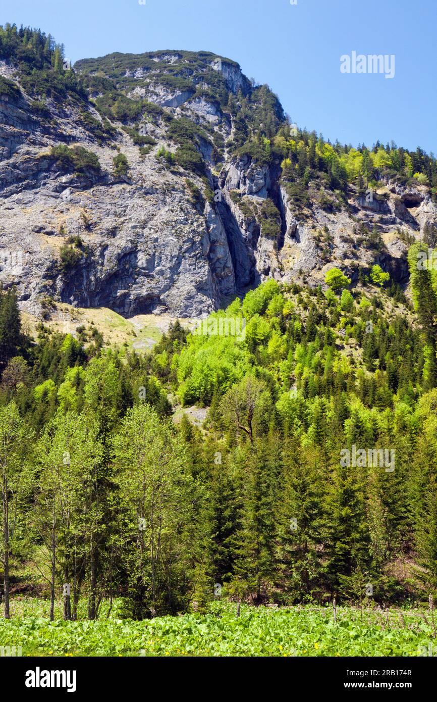 striking rock chimneys in wall abyss, Großer Ahornboden, Karwendel mountains Stock Photo