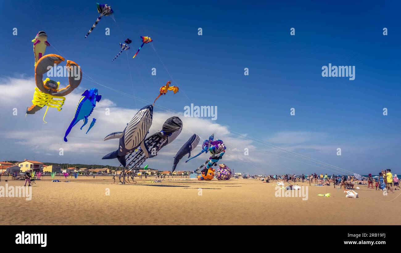 Cerf-volant de Parachute double ligne de 1.8m, jou... - Grandado