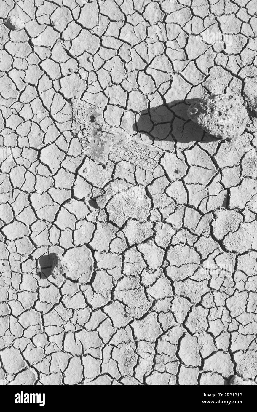 Dried up soil with cracks Stock Photo