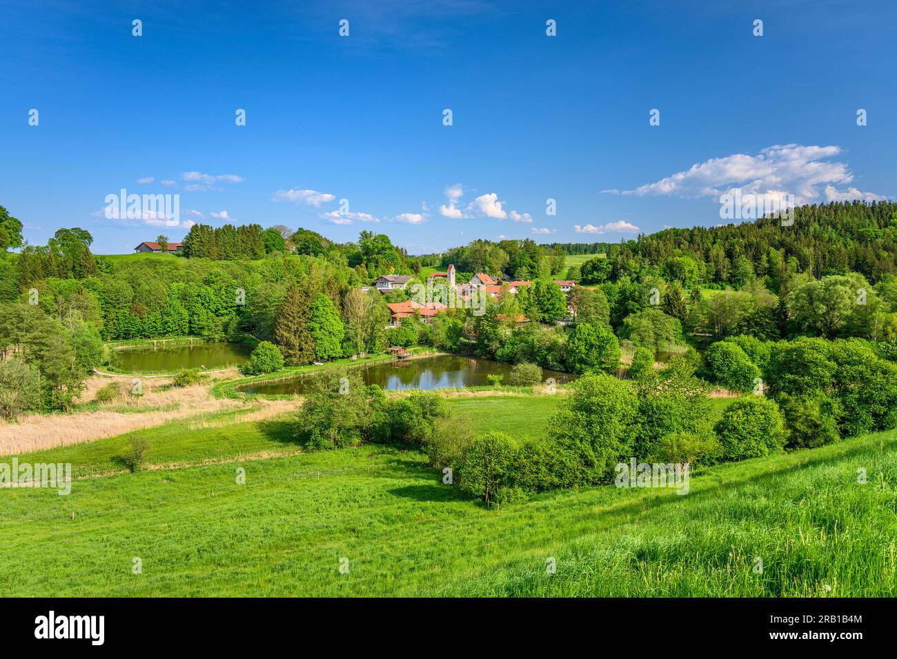 Germany, Bavaria, county Rosenheim, Feldkirchen-Westerham, district Unterlaus, view from Oberstetten Stock Photo