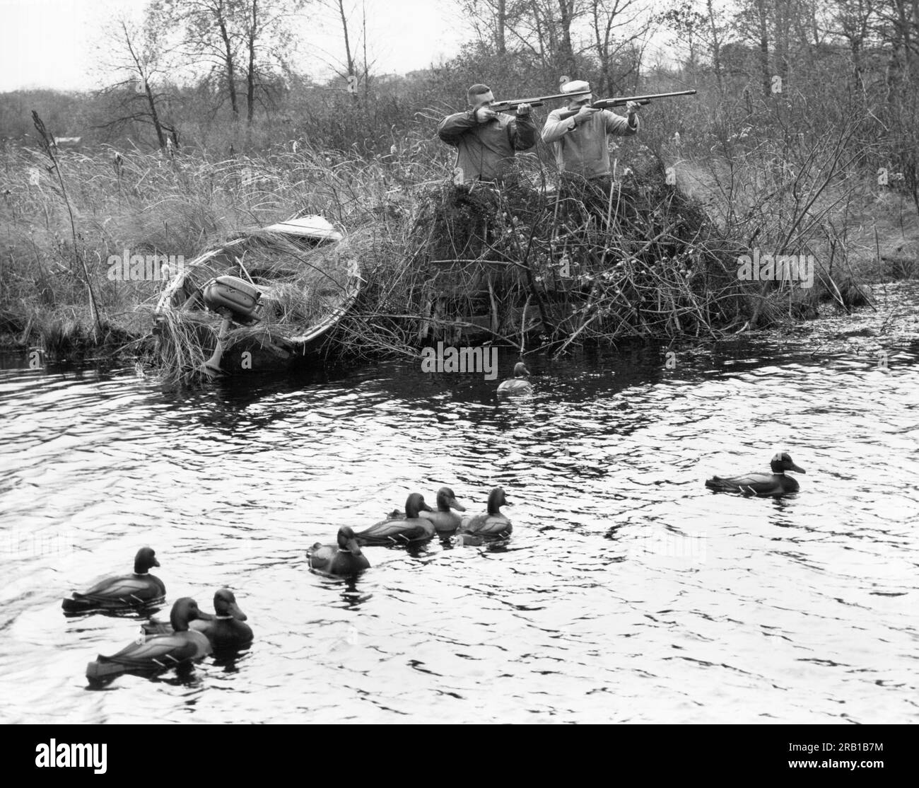 United States c. 1954 Two duck hunters in a blind with decoys in front