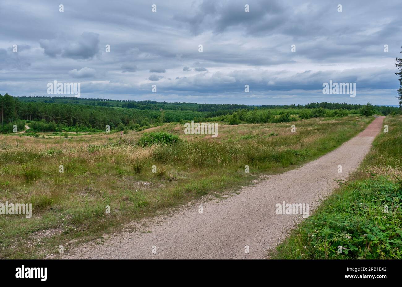 View across Cannock Chase, from Jockey Hill, Cannock Chase