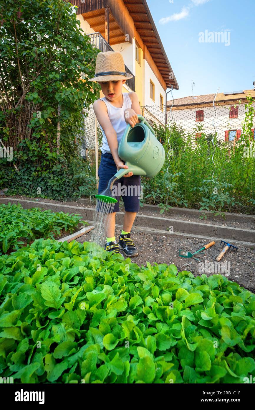 Irrigating without wasting water is a good lesson for children who are the future of our earth. Europe, Italy, Trentino South Tyrol, Trento district, Cles Stock Photo