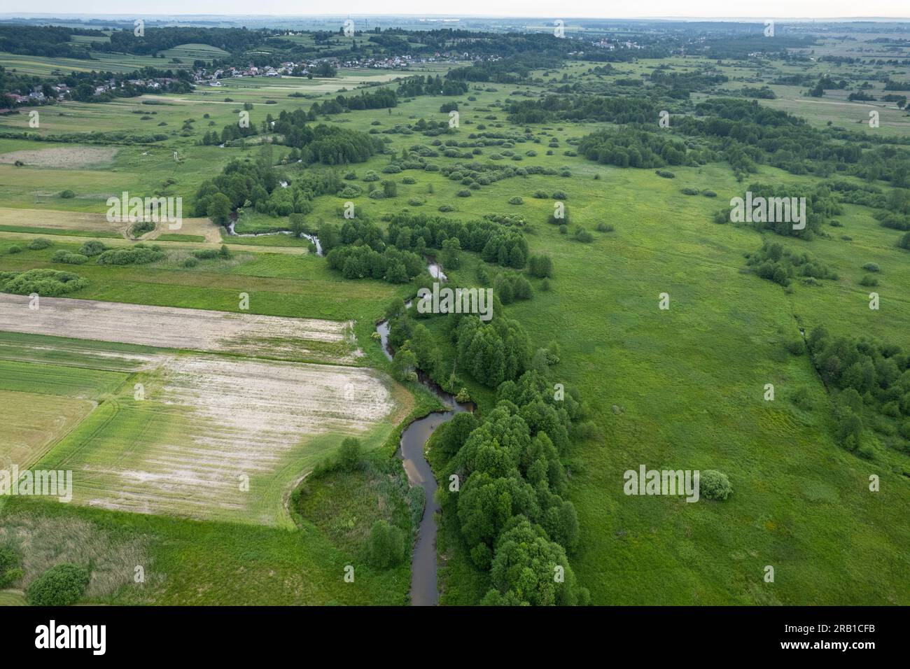 Europe, Poland, Lublin Voivodeship, Roztocze, Wieprz river near Brody Male Stock Photo