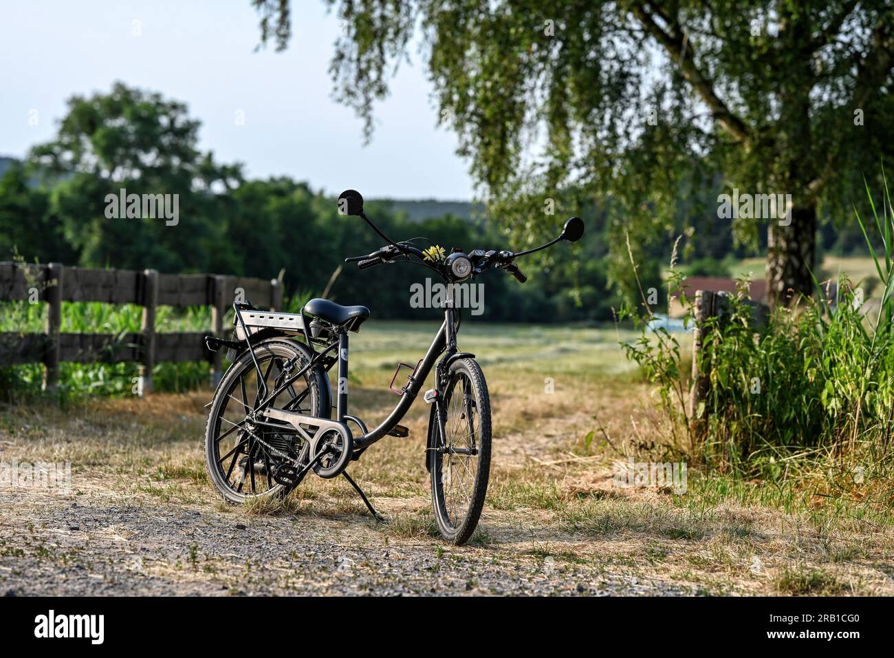 Sachs Saxonette Classic, year 1993, 30cc, 0.5 hp Stock Photo