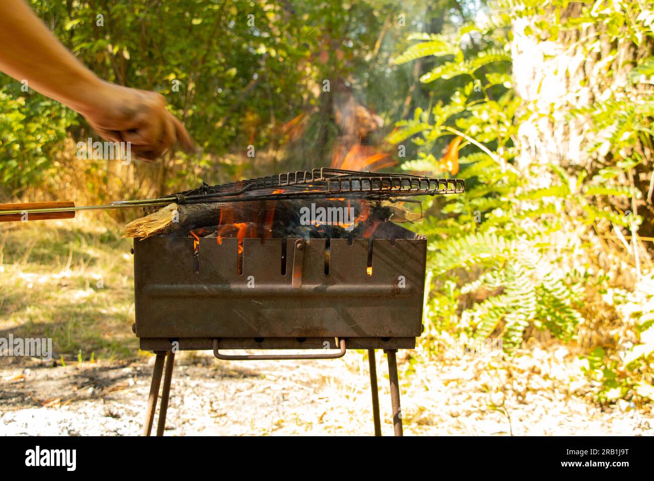 portable grill with firewood in the summer at a picnic in the forest in
