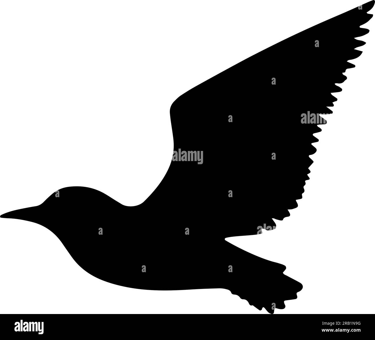 Bird flying silhouette isolated. Vector illustration Stock Vector Image