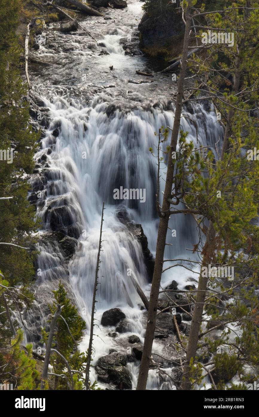 The Kepler Cascades on the Firehole River becomes a waterfall that drops about 150 feet, in Yellowstone National Park, Wyoming, USA. Stock Photo
