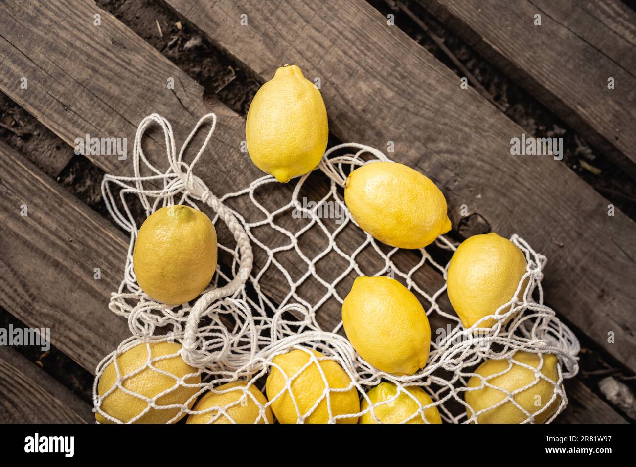 Lemons Near Me For Gardening, Beauty, And More