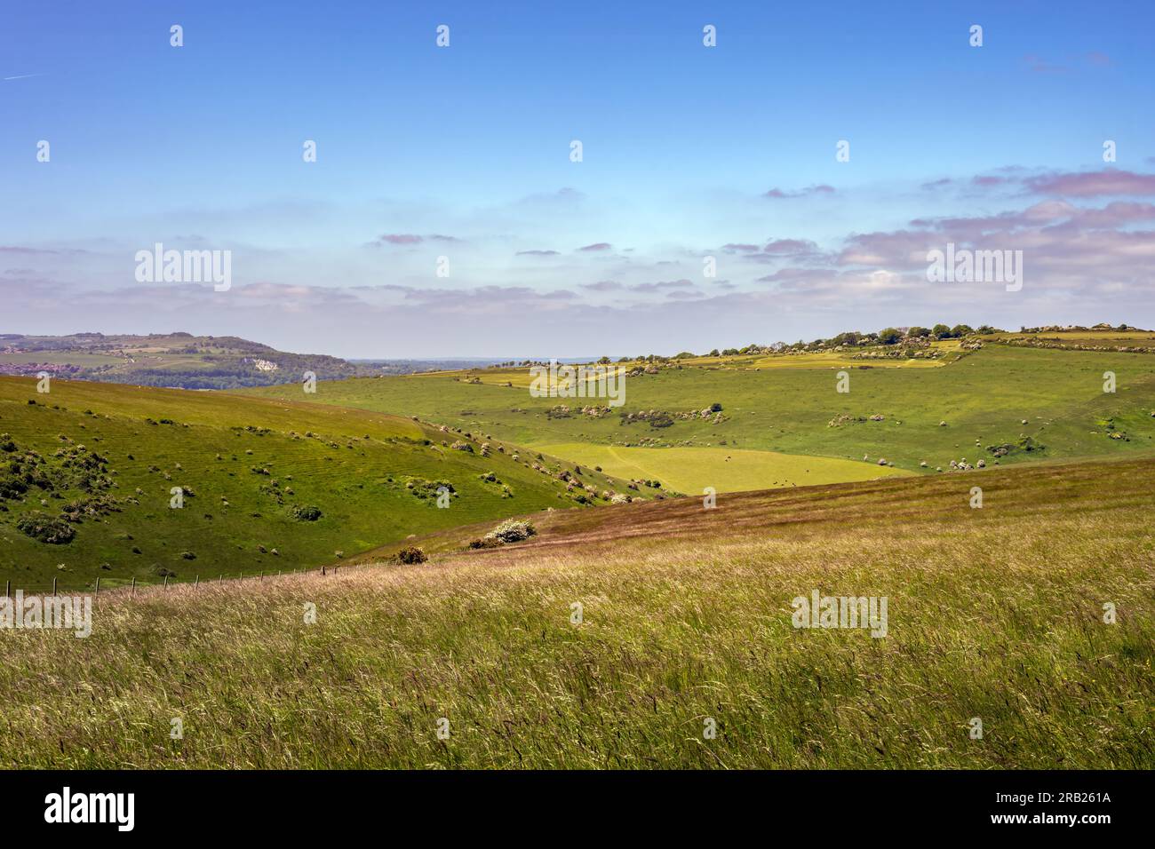 View of Malling Down nature reserve, East Sussex, England Stock Photo